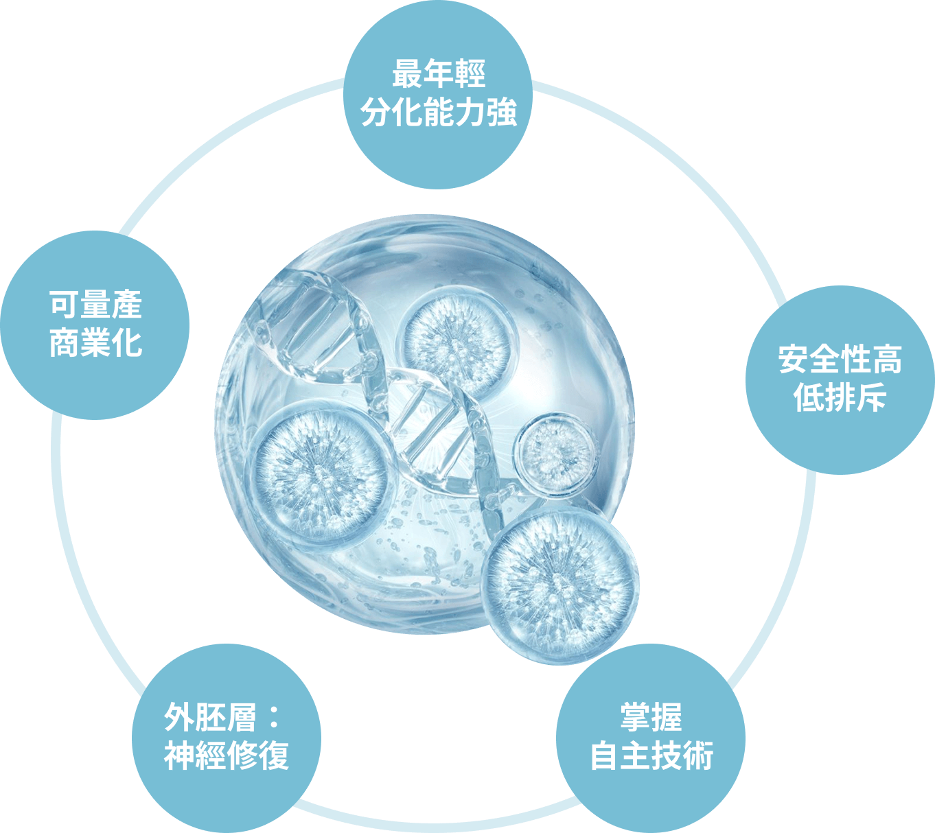 再生醫療應用｜羊水幹細胞/外泌體 - 永立榮生醫
